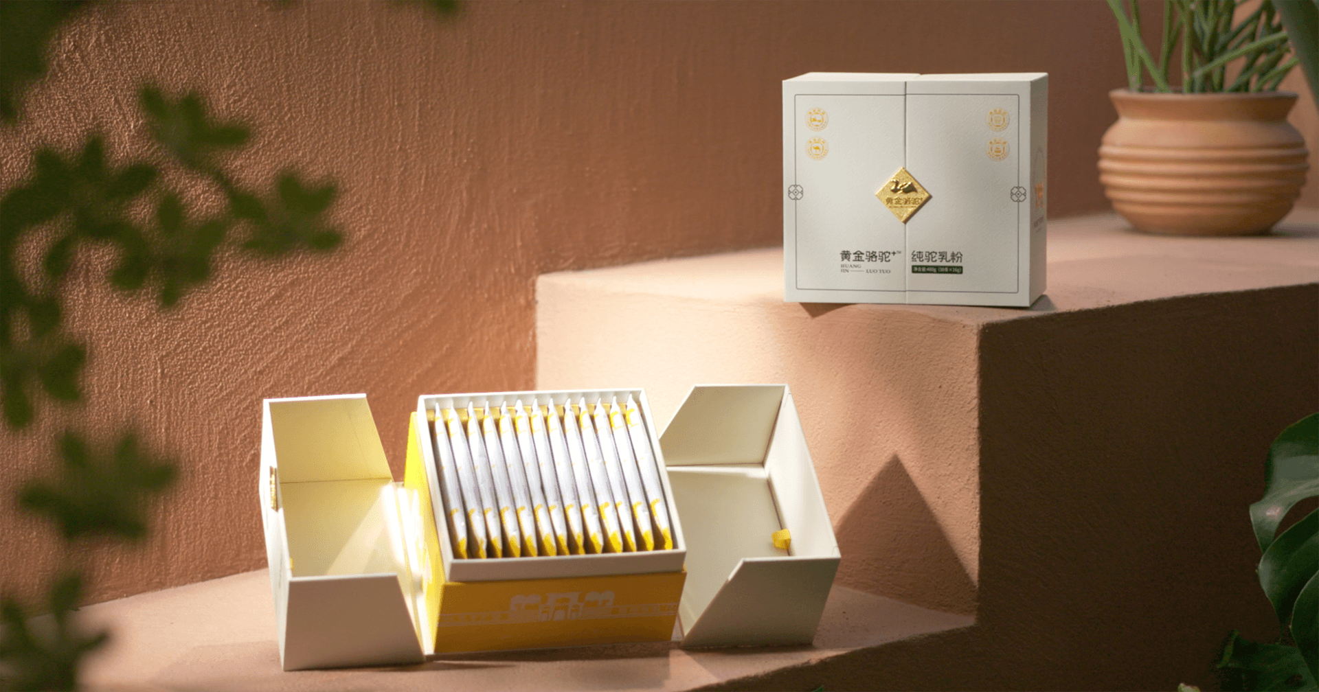 定位小众高端乳粉，彩霸王官网推出驼奶品牌“黄金骆驼+”，角逐乳品新市场！
